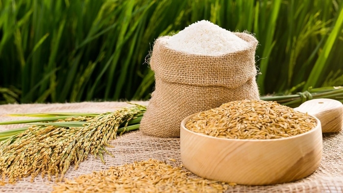 Giá lúa gạo hôm nay điều chỉnh giảm với mặt hàng gạo